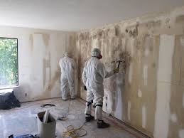 Professional Mold Prevention & Removal  in Willow, AK